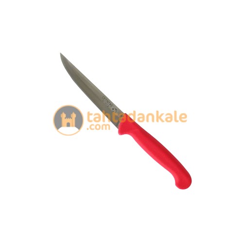 Çetintaş,BOD-CTNTSBP12,Sebze & Meyve Bıçakları,Çetintaş Paslanmaz Bursa Sebze Bıçağı 12 cm, Plastik Sap